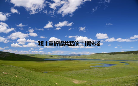 我注重柠檬盆栽的土壤选择