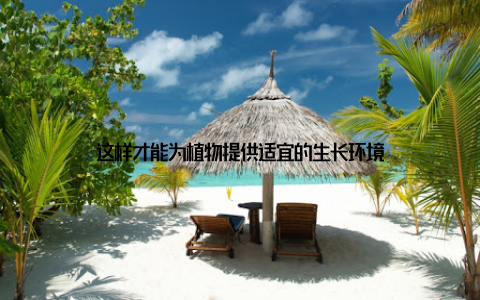 这样才能为植物提供适宜的生长环境
