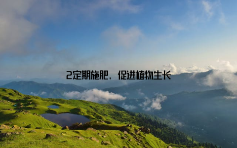 2定期施肥, 促进植物生长