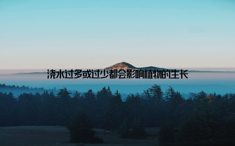 浇水过多或过少都会影响植物的生长