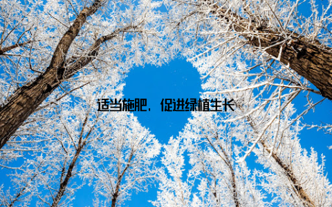 适当施肥, 促进绿植生长