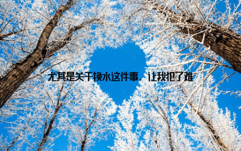 尤其是关于换水这件事, 让我犯了难