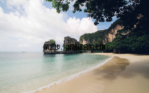 第二步, 准备适合的土壤