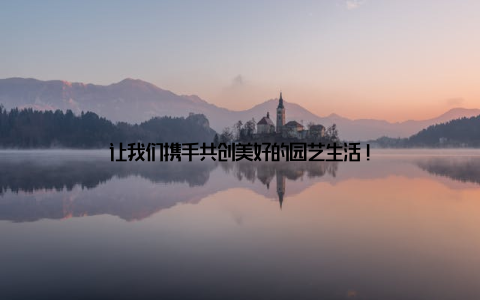 让我们携手共创美好的园艺生活!