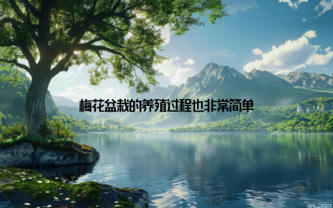 梅花盆栽的养殖过程也非常简单