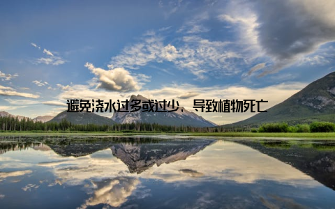 避免浇水过多或过少, 导致植物死亡