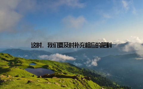 这时, 我们要及时补充相应的肥料