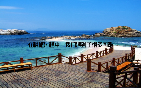 在种植过程中, 我们遇到了很多困难