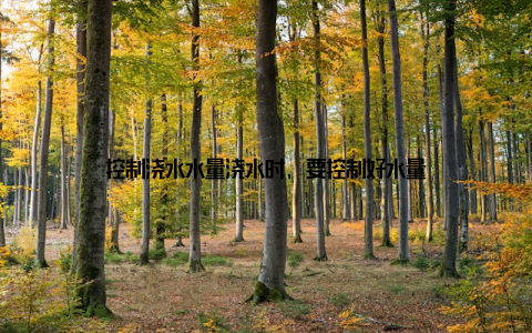 控制浇水水量浇水时, 要控制好水量