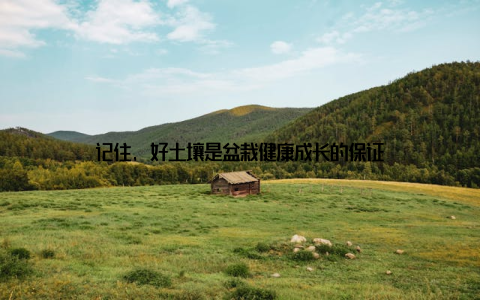 记住, 好土壤是盆栽健康成长的保证