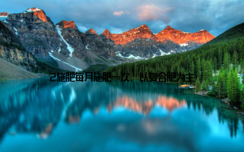 2施肥每月施肥一次, 以复合肥为主