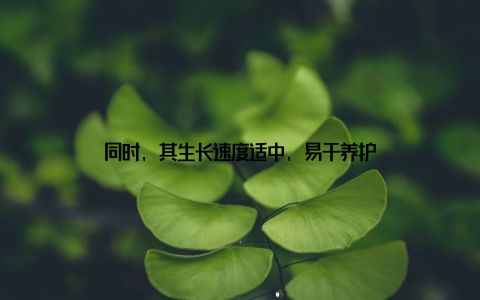 同时, 其生长速度适中, 易于养护