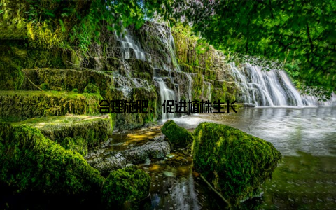 合理施肥, 促进植株生长