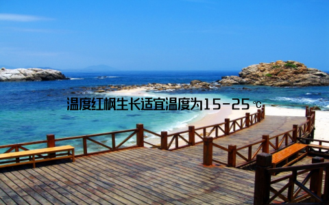 温度红枫生长适宜温度为15-25℃