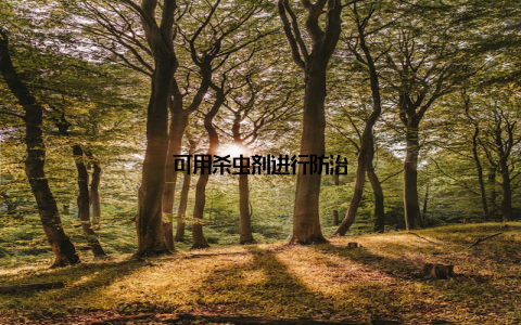 可用杀虫剂进行防治