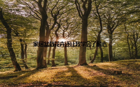 家居盆栽花卉还让我学会了耐心