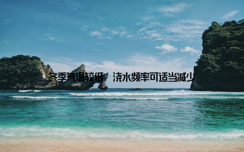 冬季气温较低, 浇水频率可适当减少