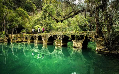 浇水时, 注意浇透, 避免积水