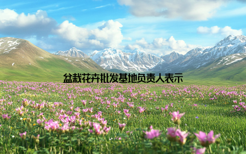 盆栽花卉批发基地负责人表示