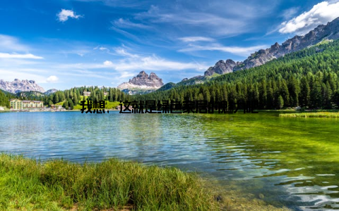我想, 这就是绿色家居的魅力吧