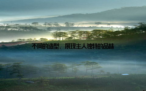 不同的造型, 展现主人独特的品味