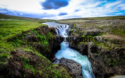 适量浇水保持土壤湿润, 避免积水