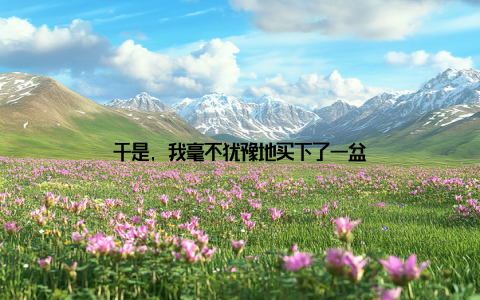 于是, 我毫不犹豫地买下了一盆