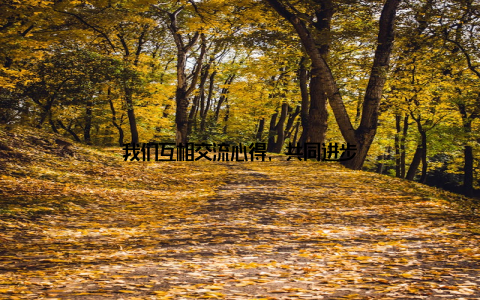 我们互相交流心得, 共同进步