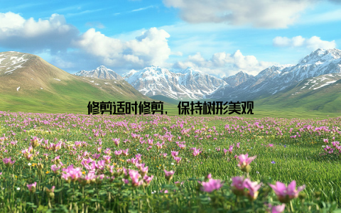 修剪适时修剪, 保持树形美观