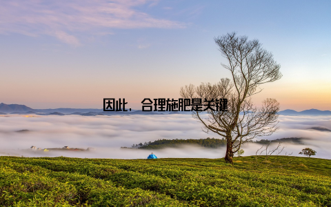 因此, 合理施肥是关键