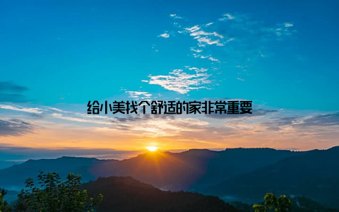 给小美找个舒适的家非常重要