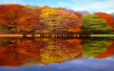 第二步, 用小铲子轻轻地将土壤翻松