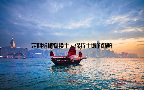 定期给植物换土, 保持土壤的新鲜