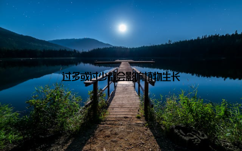 过多或过少都会影响植物生长