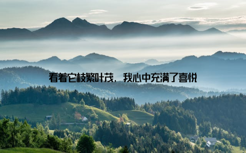 看着它枝繁叶茂, 我心中充满了喜悦