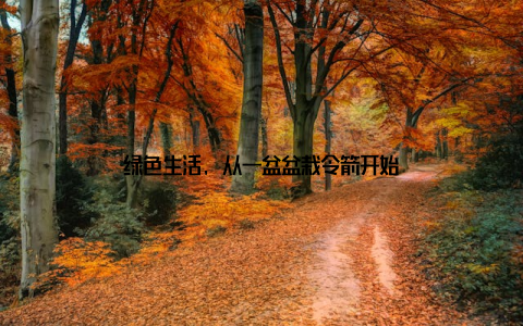 绿色生活, 从一盆盆栽令箭开始