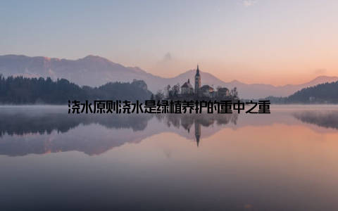 浇水原则浇水是绿植养护的重中之重