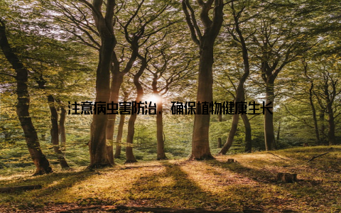 注意病虫害防治, 确保植物健康生长