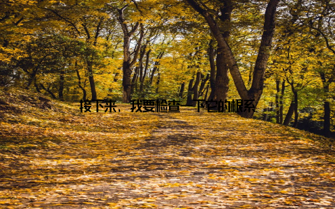 接下来, 我要检查一下它的根系