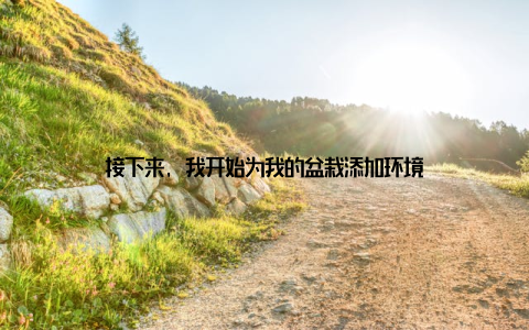 接下来, 我开始为我的盆栽添加环境