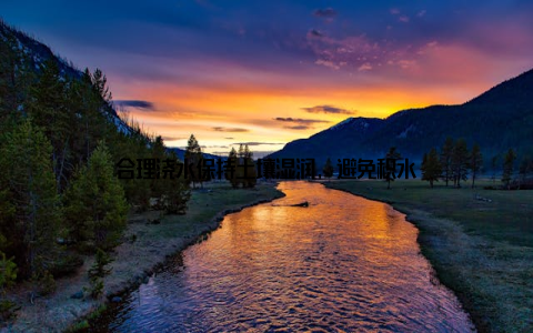 合理浇水保持土壤湿润, 避免积水