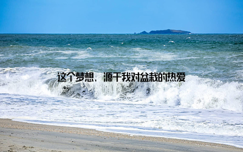 这个梦想, 源于我对盆栽的热爱