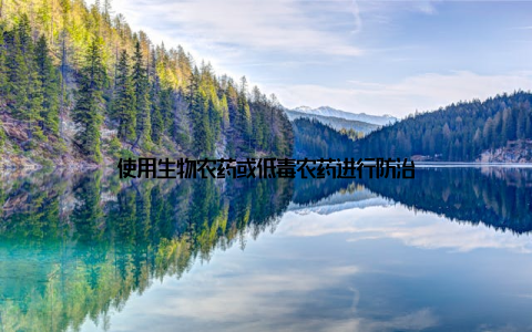 使用生物农药或低毒农药进行防治