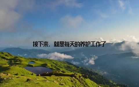 接下来, 就是每天的养护工作了