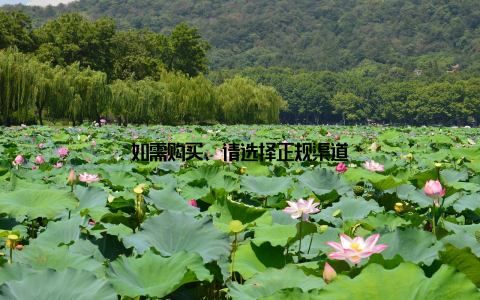 如需购买, 请选择正规渠道