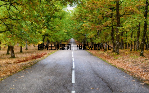 保持土壤湿润, 但避免积水 b