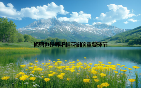 修剪也是养护桂花树的重要环节