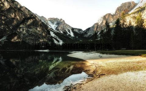 适当施肥, 保持植物的营养均衡