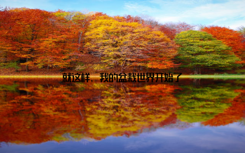 就这样, 我的盆栽世界开始了