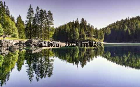 回到家后, 我立刻行动起来